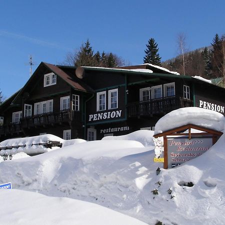 Pension Svycarsky Dum Шпиндлерув-Млин Экстерьер фото